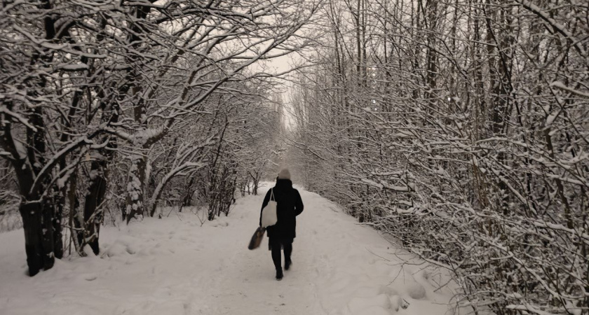 Март подложит всем свинью: Роман Вильфанд предупредил о ночных −10 °C и сугробах до 20 см