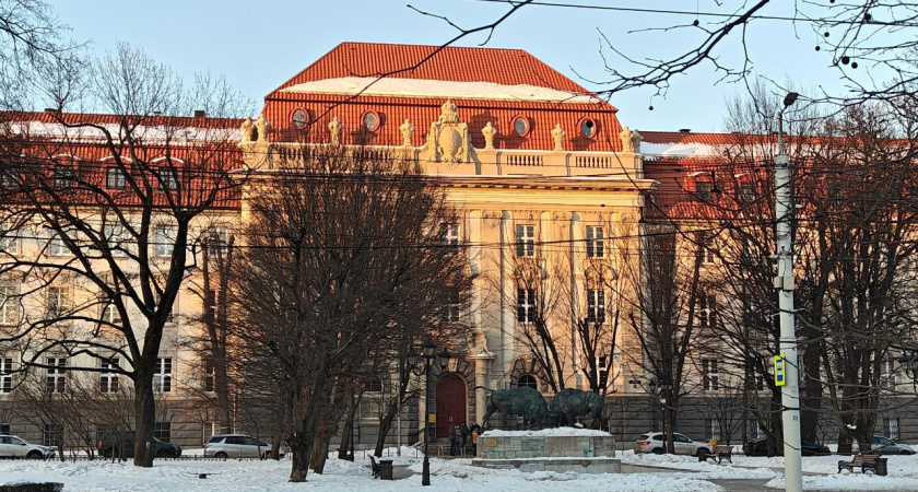 Свет, вода и скверы: в Калининградской области утвердили 132 проекта по благоустройству — какие объекты вошли в «Программу конкретных дел» 