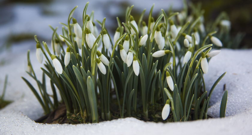 Аномально теплый апрель и лето на месяц раньше: синоптики ошарашили прогнозом погоды на весну 2026