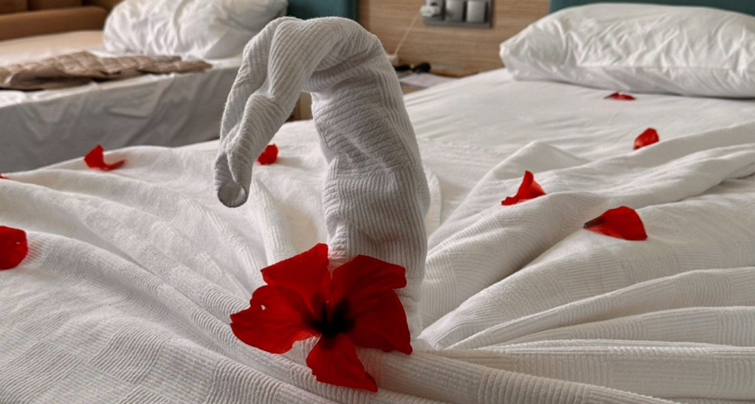 Легендарная «Москва» открывает двери после трёх лет тишины: что изменилось внутри исторического отеля в центре Калининграда