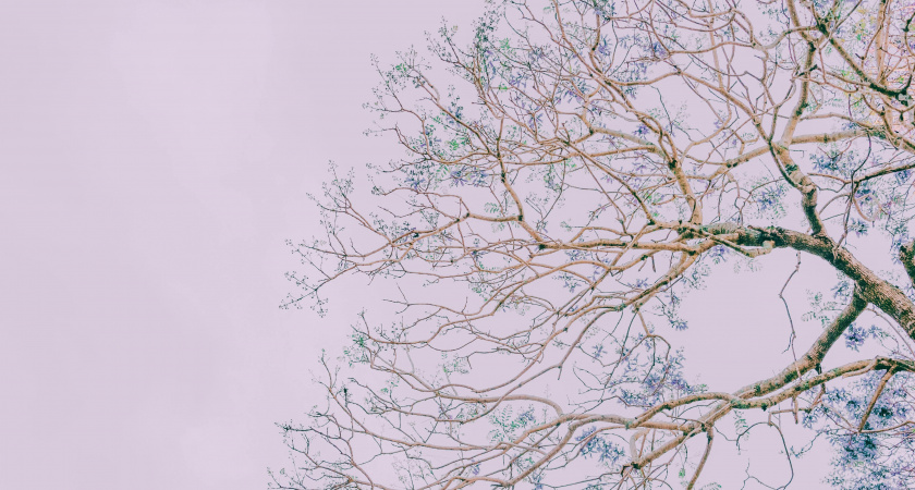 Не смотри в небо вечером, но заверши начатое: народные приметы и запреты на 2 марта — день Федора Тирона и Мариамны Кикиморы