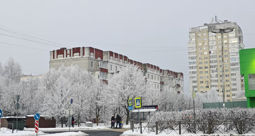 Погода в Калининградской области на вторник, 3 марта: весенние +11°С и туманы на побережье