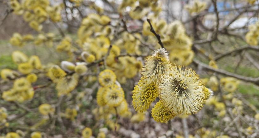 Что нас ждет летом 2026 - удивительно, но это подскажут не синоптики, а погодная примета 3-4 марта