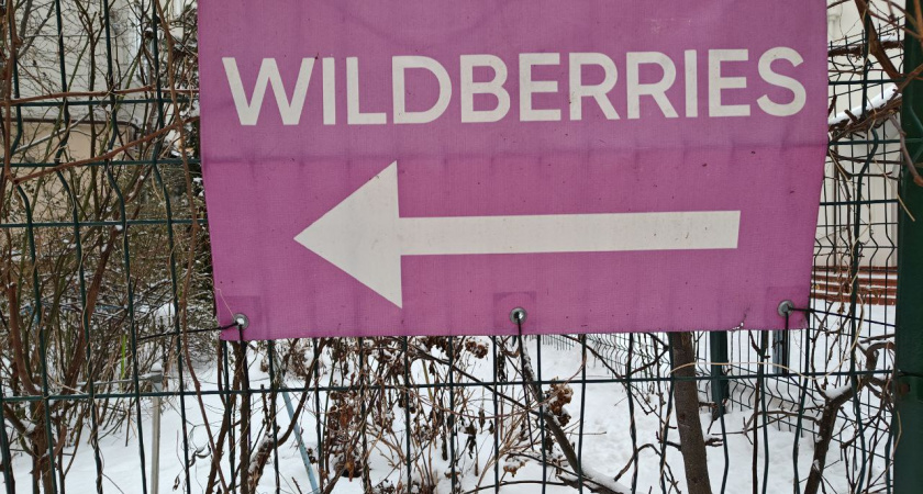 Слишком дешево, чтобы быть правдой: какие товары опасно покупать на Wildberries, Ozon и AliExpress