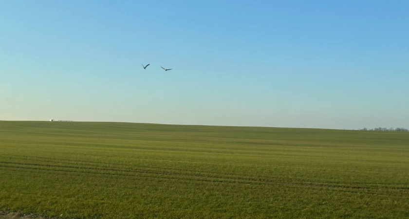 Март в Калининграде решил стать летом: синоптики шокированы прогнозом