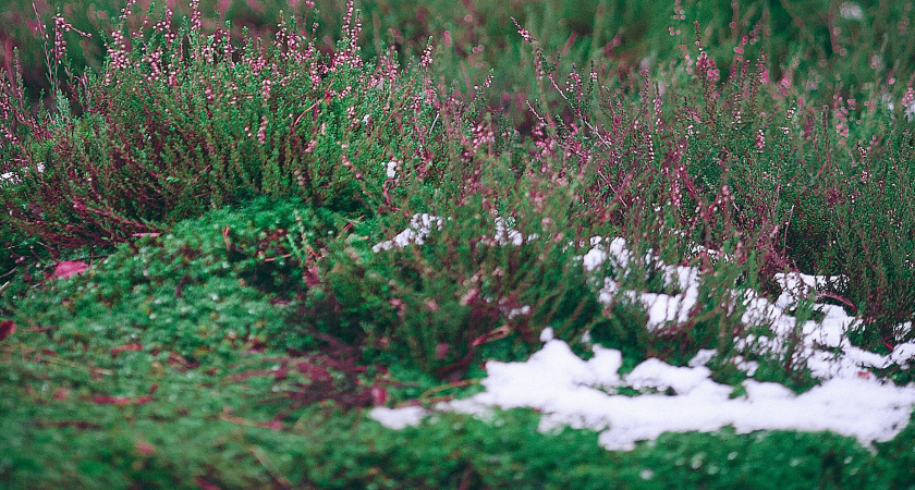 Не грустите, а готовьтесь к весне: народные приметы и запреты на 3 марта — день Овсянки