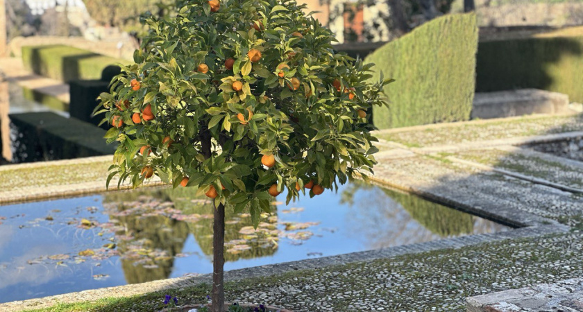 Гагра и Пицунда уже дороже: сколько стоит летний отдых в Абхазии в 2026 году и где можно сэкономить