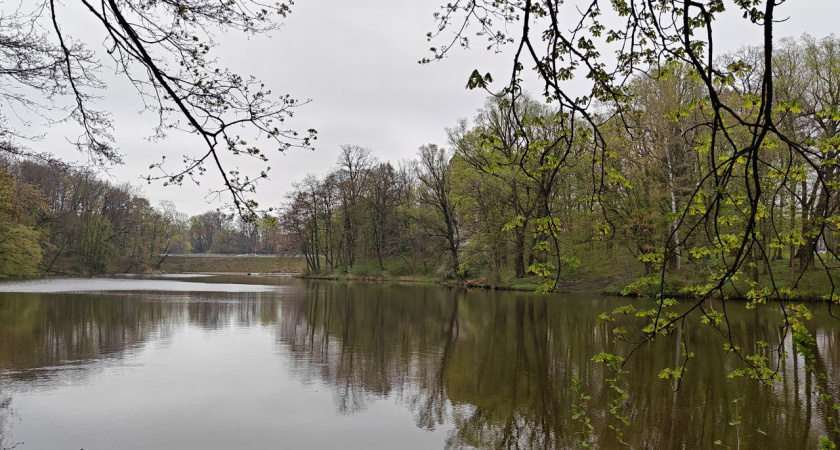Калининградскую область ждёт весеннее тепло до +15°С, пока центральная Россия мёрзнет