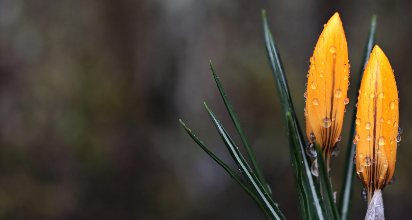 Не носи старую обувь, не смотри ночью на небо: приметы на 5 марта