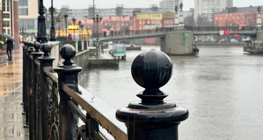 В Калининграде мужчина напал на женщину у ТЦ «Плаза», угрожал изнасилованием и избил — полиция месяц не реагирует