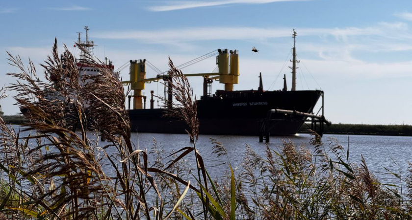 В Калининград возобновили контейнерные перевозки морем по цене 1 рубль за контейнер
