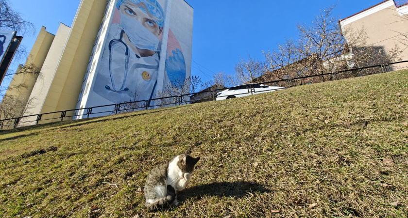 Калининградская область только что ворвалась в весну: завтра +13°С, в воскресенье +15°С, а к концу недели +18°С