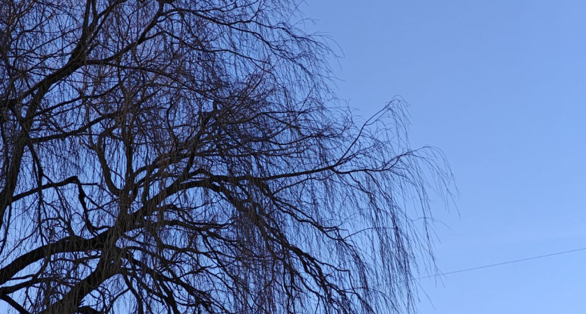 Калининградская область разделится на два мира: в Калининграде +13°С, в Зеленоградске -2°С ночью