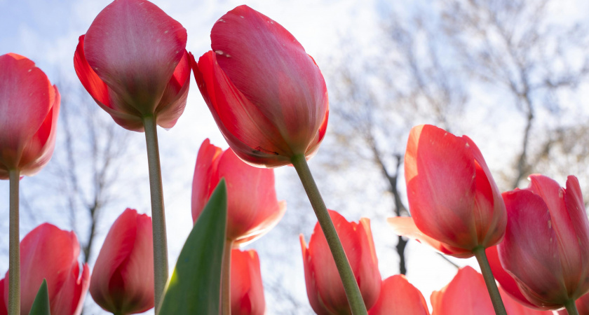 Не подметайте дом, не берите чужое полотенце: народные приметы и запреты на 7 марта