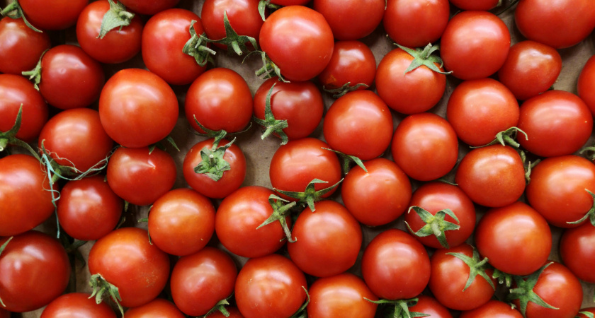 Помидорный гороскоп 2026: один неправильный день посева - и урожая не будет