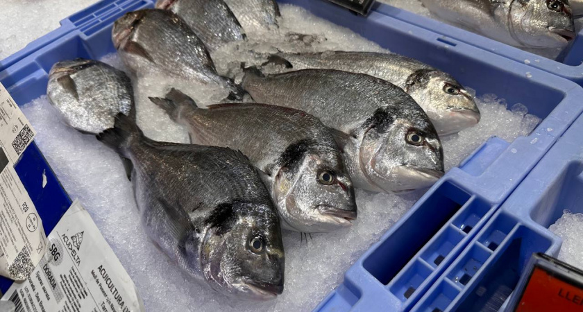 Каждая четвертая банка шпрот в стране родом из Калининграда : наш город стал центром рыбных консервов России