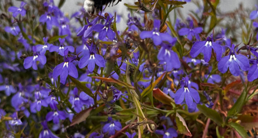 Весна решила удивить: жара до +17, африканская пыль и даже намек на первую грозу уже совсем рядом