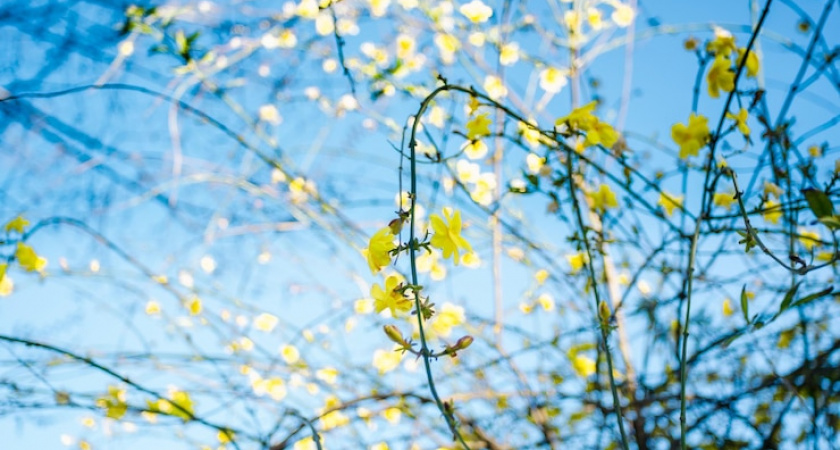 Праздничный марафон: когда калининградцев ждут короткие рабочие недели — календарь весенних выходных 