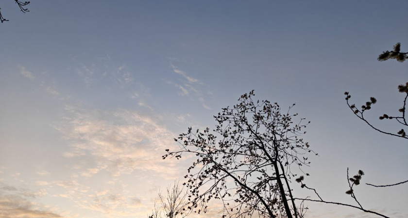 Весна делает рывок: синоптики предсказали неожиданный погодный поворот в Калининградской области во вторник