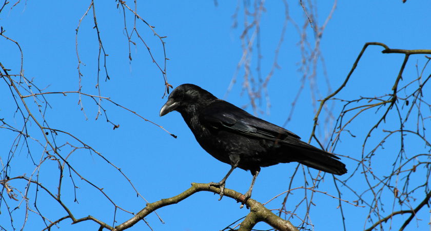 Не спите днём и не стригите ногти: народные приметы и запреты на 10 марта