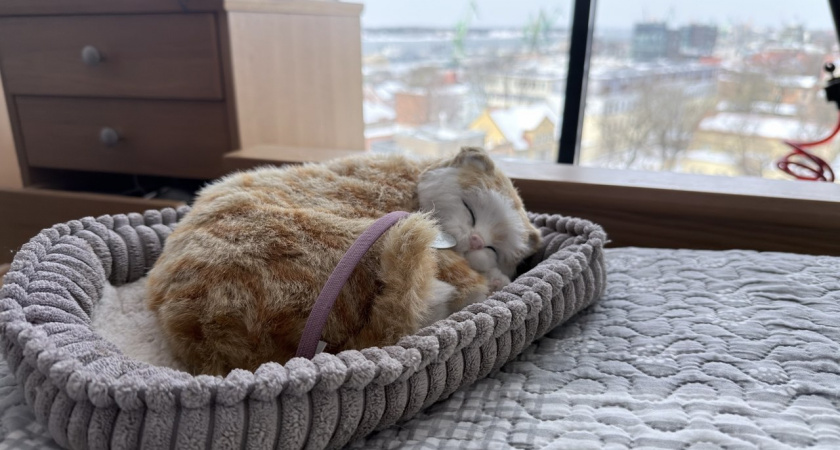 В Калининградской области побиты суточные рекорды температуры: воздух прогрелся до +15°С