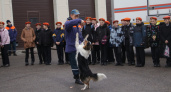 Кинологи Калининградского МЧС приняли в гости юных кадетов 