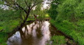 Причины плохого запаха от реки Лесной: в Минприроды ответили на важный вопрос