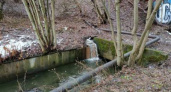 В Парковом ручье был перекрыт незаконный сток отходов в водоем 