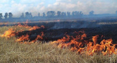В Калининградской области уже несколько дней горит трава 