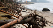 В Калининградской области назвали места, в которых с большей вероятностью может пройти шторм