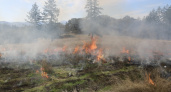 В Балтийске для контроля сухой травы запустят коптеры
