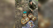 Губернатор собрал 5 корзин грибов и опубликовал фото в социальных сетях.