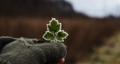В Калининградской области были первые заморозки в этом сезоне