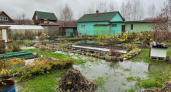 В садовом товариществе «Лазурное» в Гурьевском районе продолжаются проблемы с заливом