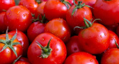 Цена на помидоры в Калининградской области за месяц выросла на треть