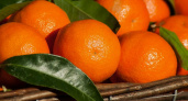 «3,5 тыс. тонн мандаринов» В Калининградскую область привезли мандарины из 6 стран