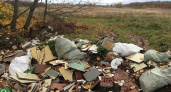 Вблизи поселка Клинцовка, неподалеку от Зеленоградска, обнаружили свалку