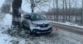 В Зеленоградском районе «Рено» намотался на дерево