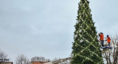 После жалобы жительницы Балтийска на место установки елки, власти решили ее переместить