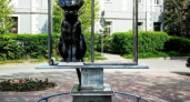 Скульптура «Кинетический кот» была убрана с улицы в Зеленоградске