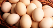 Турция накормит Россию яйцами!