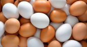 ФАС плотно взялась за яйца: возбуждены дела на 4-х региональных производителя