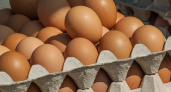 Планируется снизить цены на яйца в России путем закупок в Турции и Азербайджане