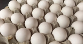 В 2024 году планируется импортировать около 1,2 миллиарда яиц в Россию для стабилизации рынка