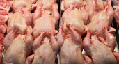 Курица наконец-то подешевеет? Кабмин снимает пошлины на ввоз куриного мяса на целый год