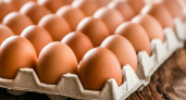 В Россию доставлена вторая партия яиц из Азербайджана на 18 тонн