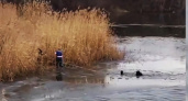 Геройский поступок: волгоградский полицейский спас школьника, провалившегося под лед (ВИДЕО)
