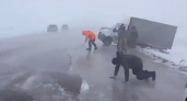 На трассе Омск — Павлодар начался сильнейший ураган (ВИДЕО)