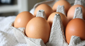 Первая партия турецких яиц прибыла в Россию. Что будет с ценами?