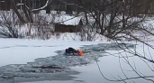 Школьник оказался в ловушке прямо посреди Летнего озера в Калининграде. Кадры спасения (ВИДЕО)